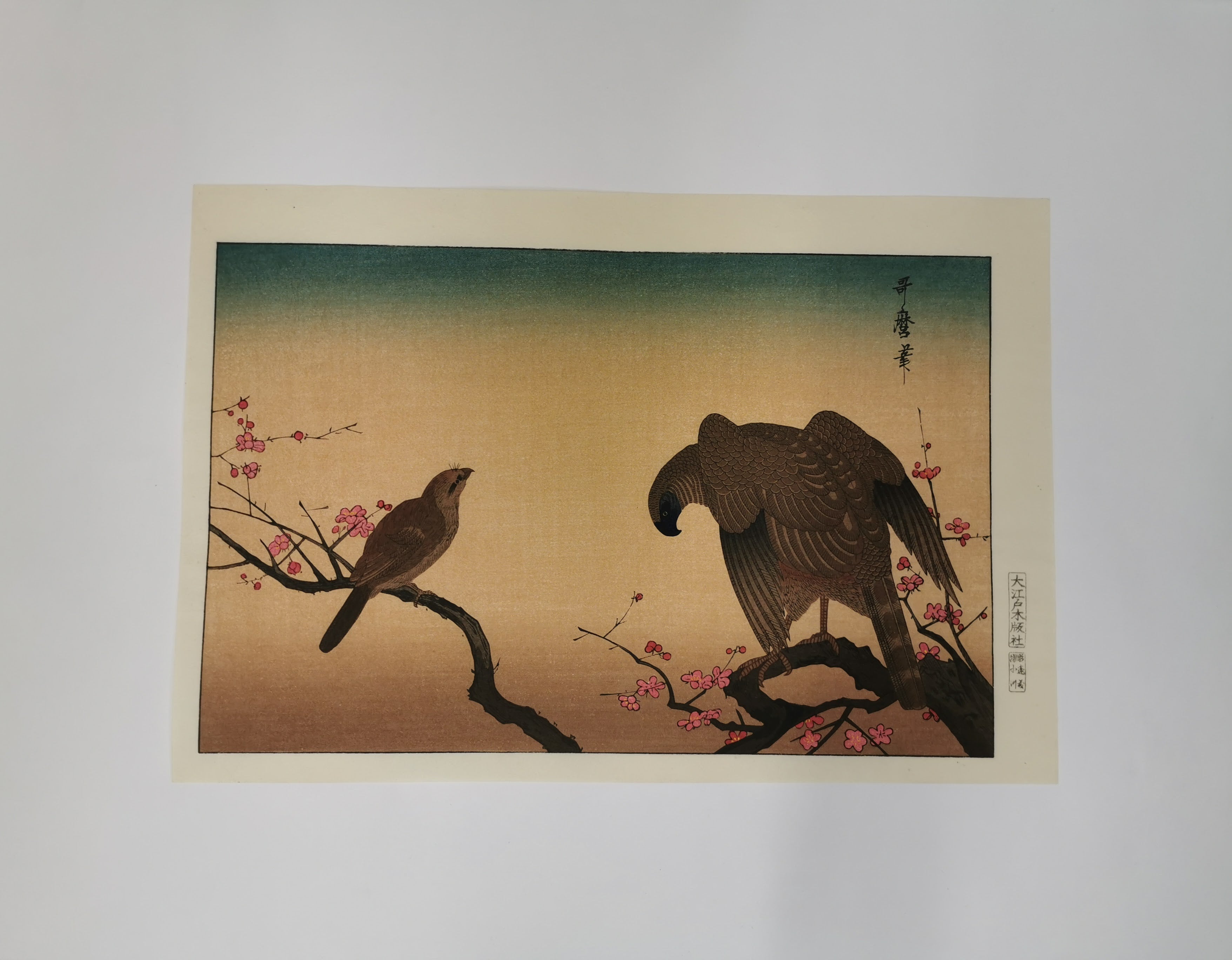 Haori 5-piece Set Bulk Sale Reuse Jacket ◆tkwh209