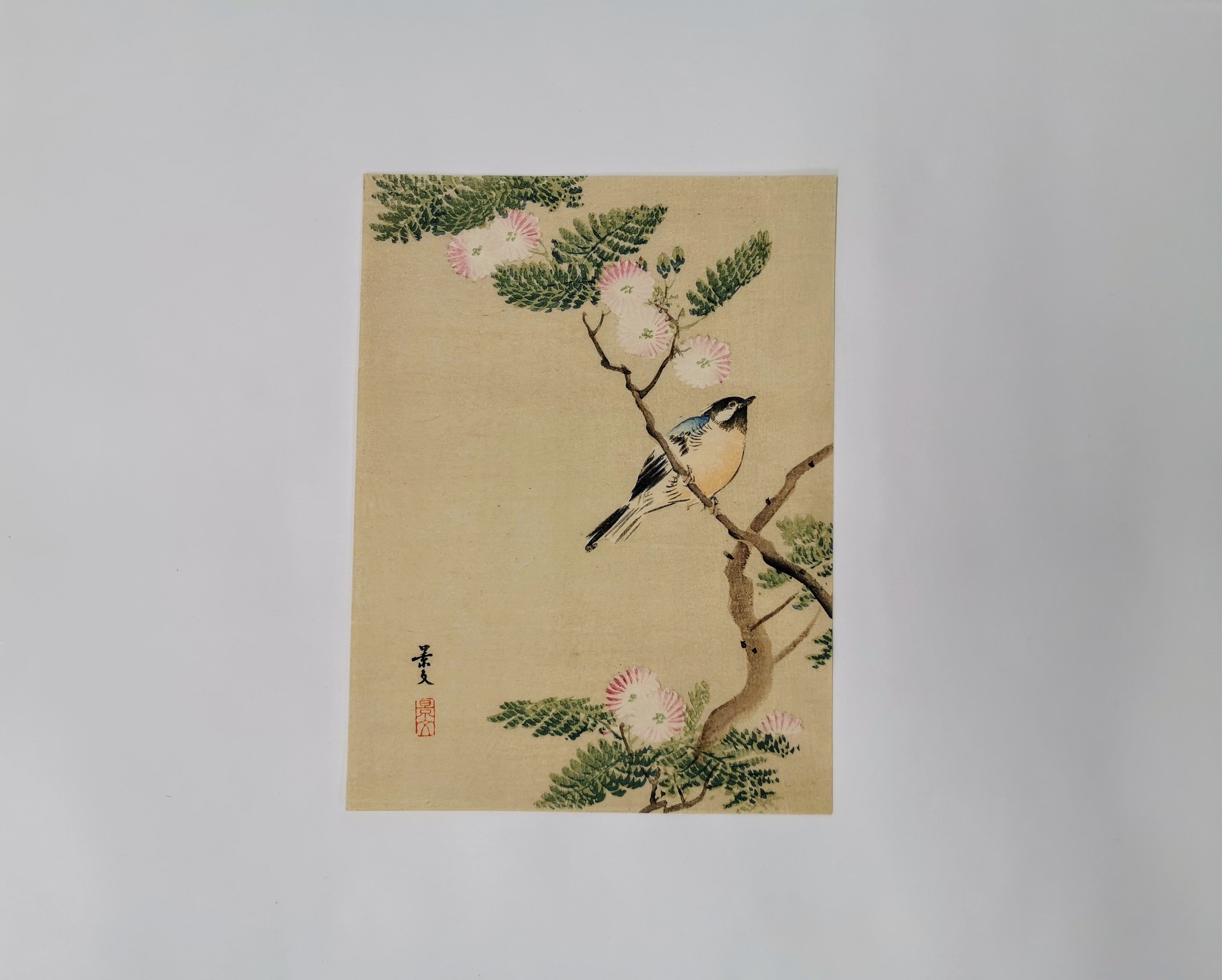 Haori 5-piece Set Bulk Sale Reuse Jacket ◆tkwh209