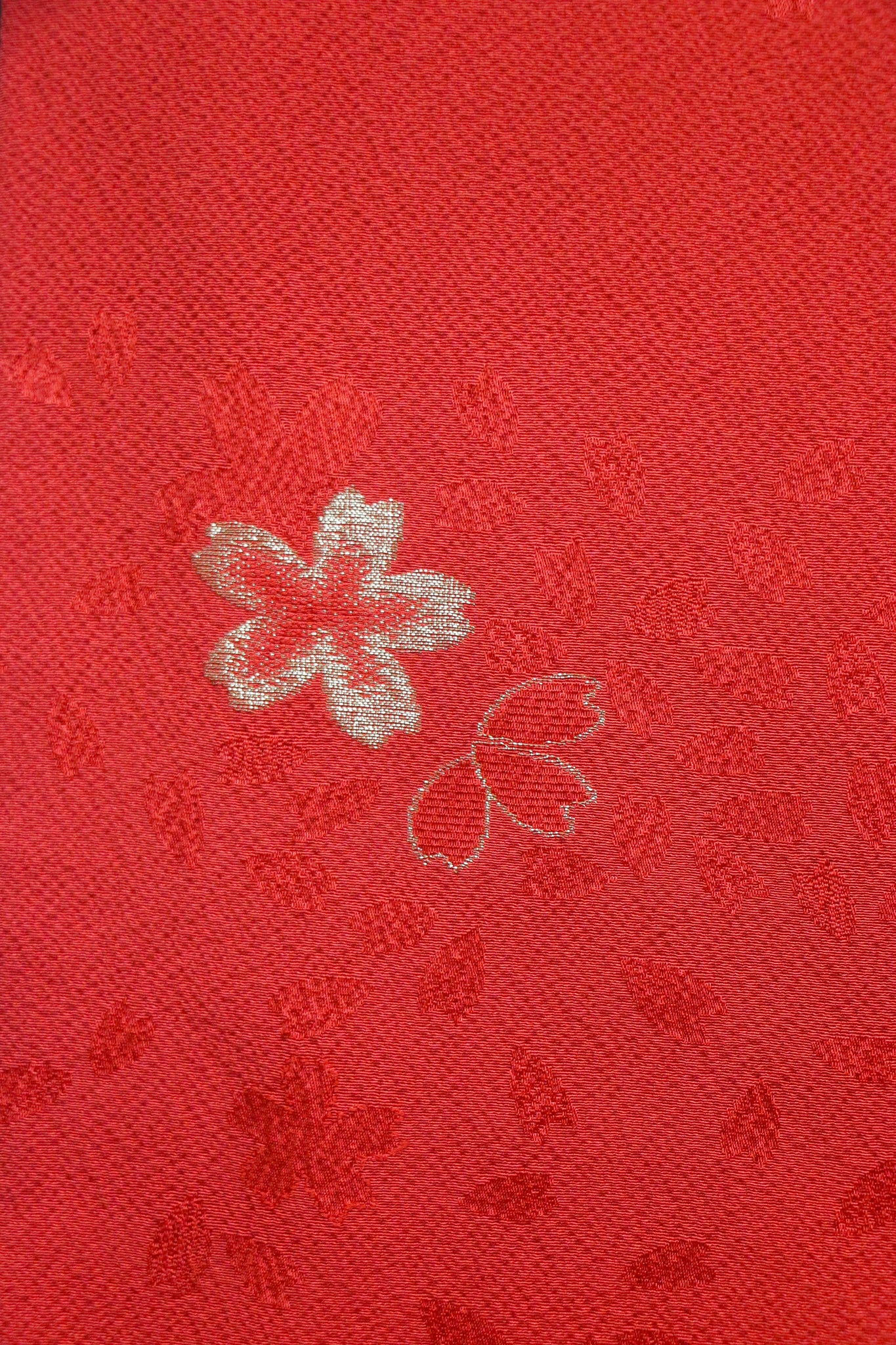 Elegant Red Kimono with Gold Sakura Pattern|赤 × 金 桜模様の上品な振袖◆twff715