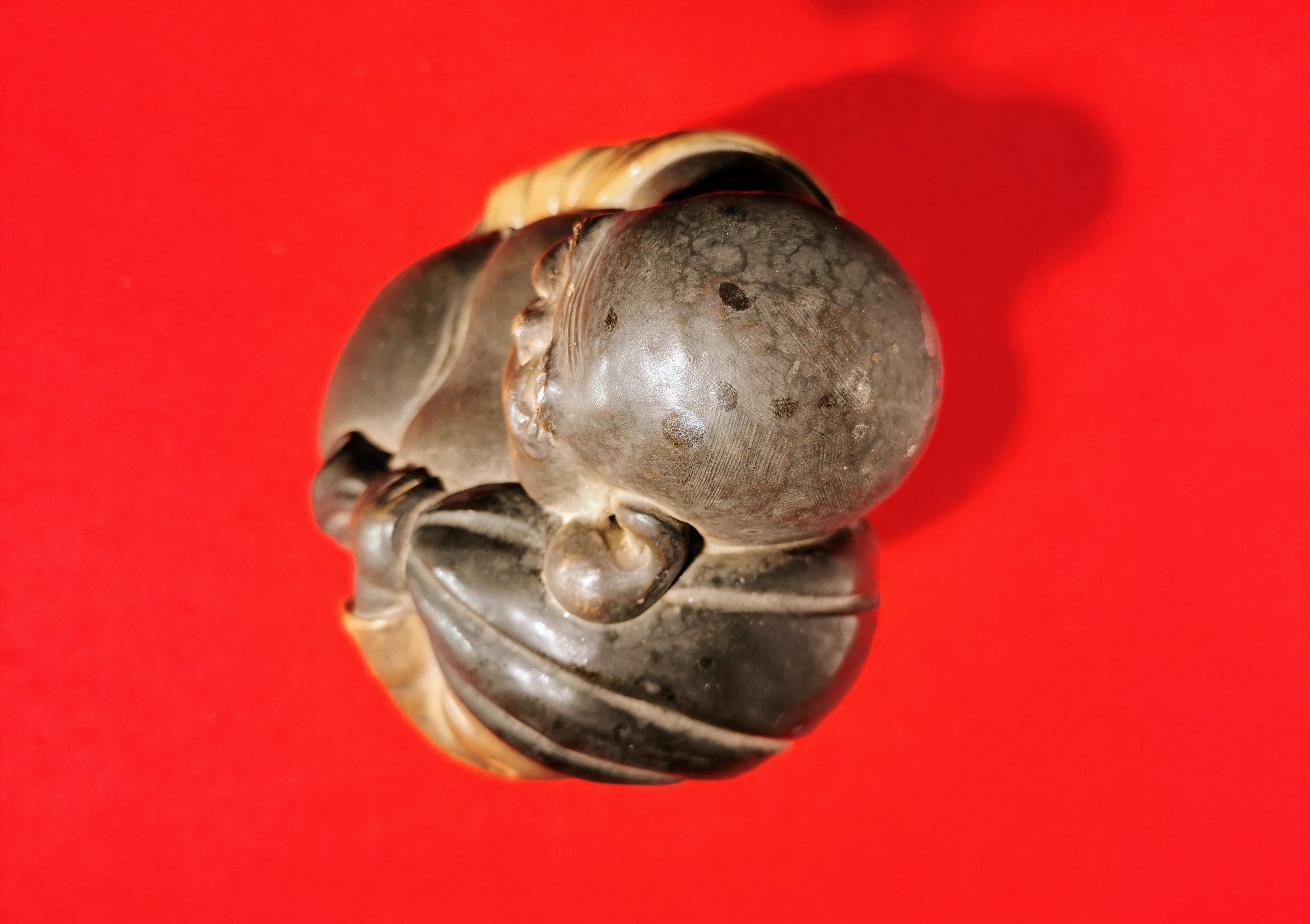 七福神 布袋様 金運 招来 商売繁盛 夫婦円満 千客万来 縁起物◆tk260