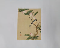 ♦KJ061 Kimono usato da donna, 5 pezzi, antico, formale, usato, abiti giapponesi