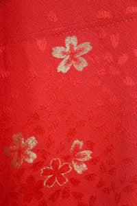 Elegant Red Kimono with Gold Sakura Pattern｜赤 × 金 桜模様の上品な振袖◆twff715